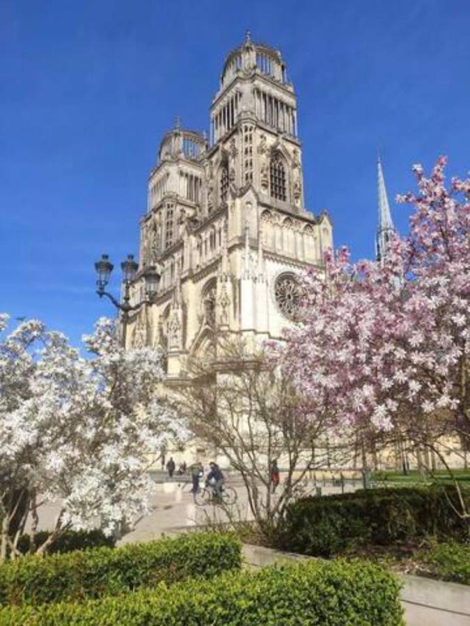 奥尔良The Garden, Proche Bord De Loire公寓 外观 照片
